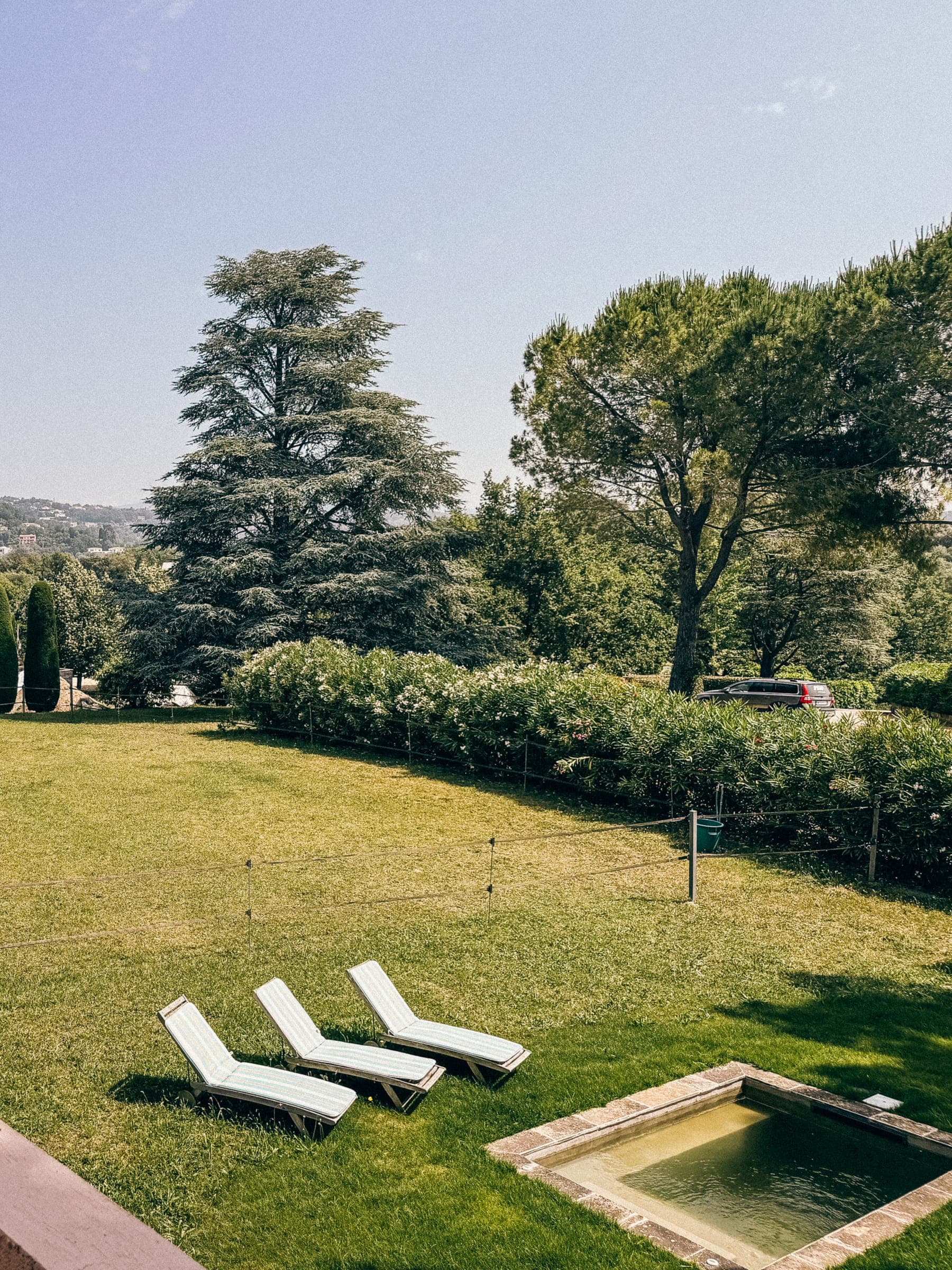 Jardin avec transats et piscine sous un grand cèdre